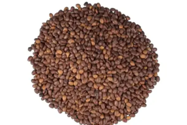 carob-seed