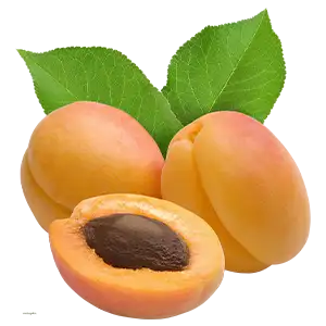 Apricot