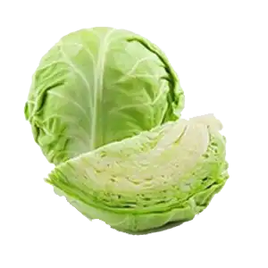 Cabbage