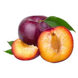 Plum