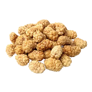 dried-mulberries